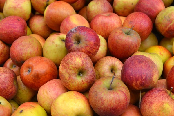 Manzanas rojas sabrosas enteras en el mercado — Foto de Stock