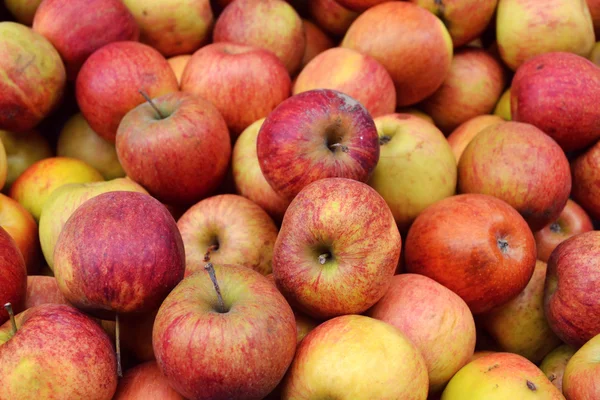 Manzanas rojas sabrosas enteras en el mercado — Foto de Stock