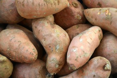 Tatlı yum patates marlet adlı