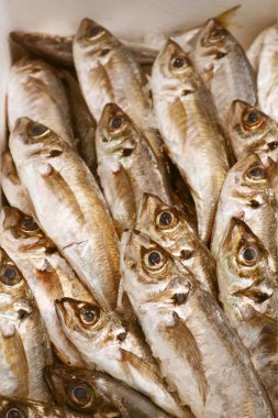 Buz balık diğer türlü pişmemiş alabalık