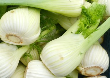 piyasada rezene Ampüller