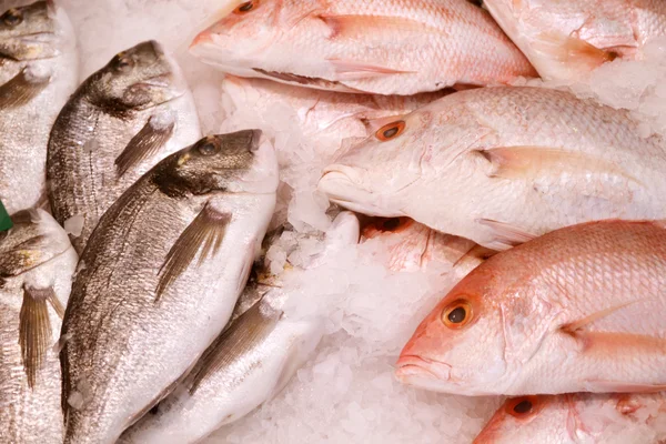 Griffes de crabe dans la glace au marché — Photo