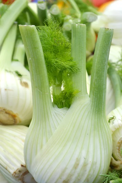 Ampoules de fenouil au marché — Photo