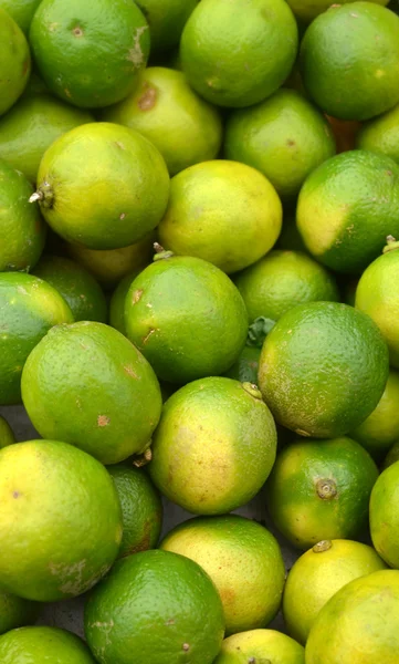 Un montón de limas verdes frescas en el mercado —  Fotos de Stock