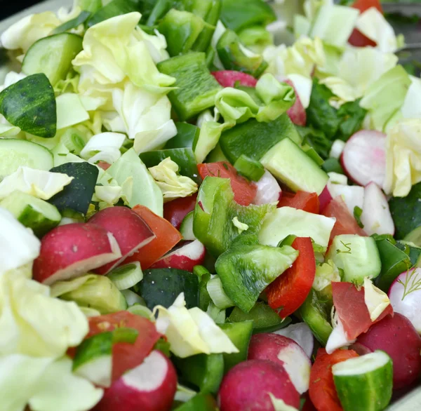 Tasty vegetarian salad with tomatoes and cucumber — Stock Photo, Image