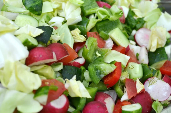 Chutný vegetariánský salát s rajčaty a okurkou — Stock fotografie