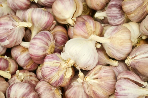 Organic garlic whole and cloves at the market — Stock Photo, Image