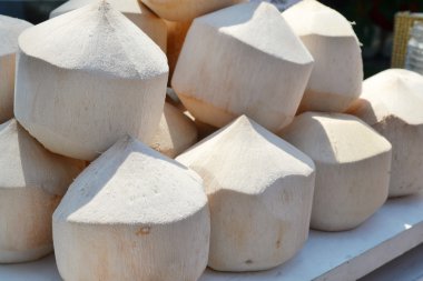 Yukarda çok içkim taze hindistan cevizi