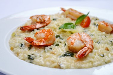 Tiref karides ve özel Arborio pirinç lezzetli risotto