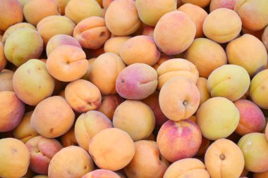 Bir sürü parlak turuncu kayısı