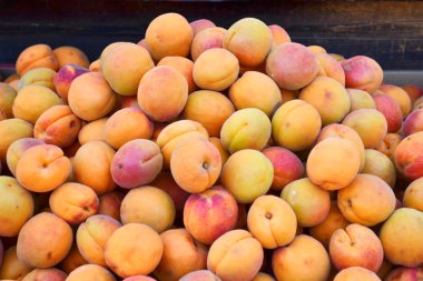 Bir sürü parlak turuncu kayısı