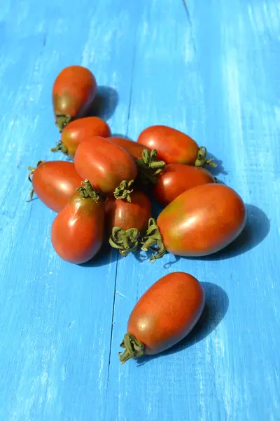 Big dark red tomatoes on bright blue background — Stock Photo, Image