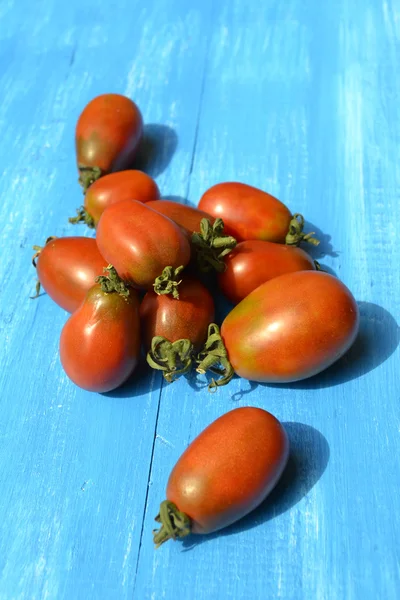 Big dark red tomatoes on bright blue background — Stock Photo, Image