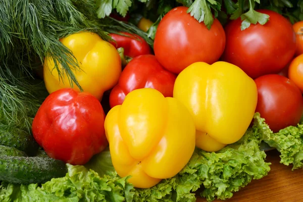 Verdure diverse - peperoni, cetrioli, pomodori ed erbe aromatiche — Foto Stock