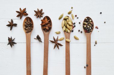 Dört kaşık farklı baharatlar - kakule, anason yıldız ve biber tam