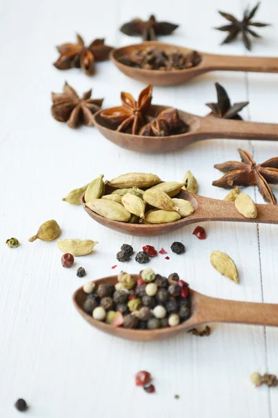 Four spoons full of different spices - cardamom, anise stars and peppers — Stock Photo, Image