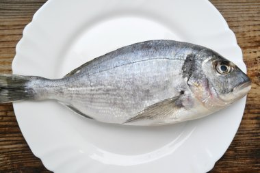 Pişmemiş dorado beyaz bir plaka üzerinde balık