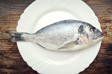 Pişmemiş dorado beyaz bir plaka üzerinde balık