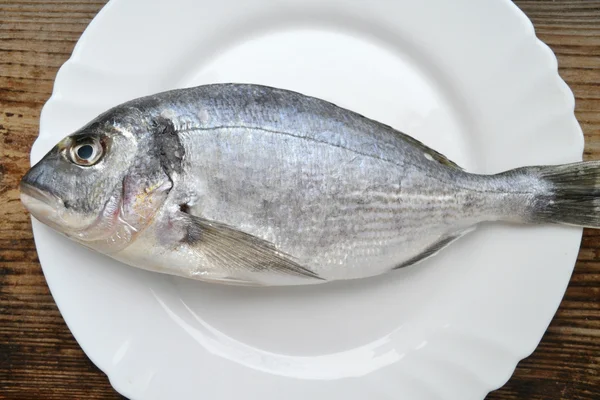 Pişmemiş dorado beyaz bir plaka üzerinde balık — Stok fotoğraf