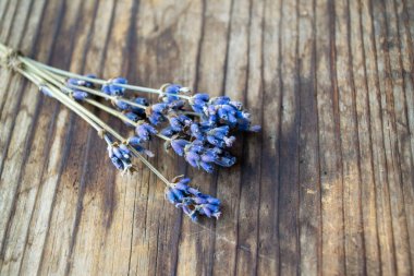 Bir demet kurutulmuş lavanta çiçeği.