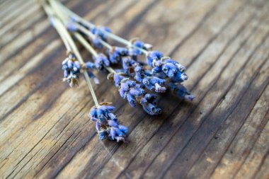 Bir demet kurutulmuş lavanta çiçeği.
