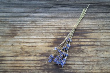 Bir demet kurutulmuş lavanta çiçeği.