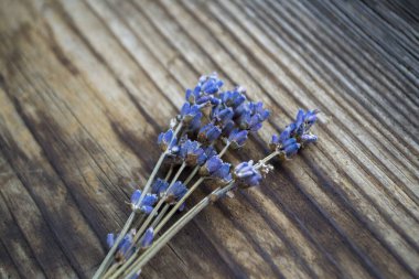 Bir demet kurutulmuş lavanta çiçeği.