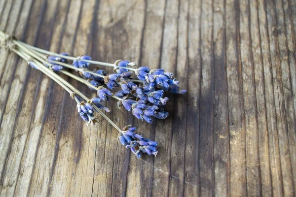 Bir demet kurutulmuş lavanta çiçeği.