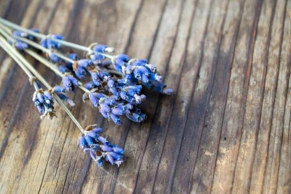 Bir demet kurutulmuş lavanta çiçeği.