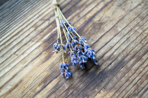 Bir demet kurutulmuş lavanta çiçeği.