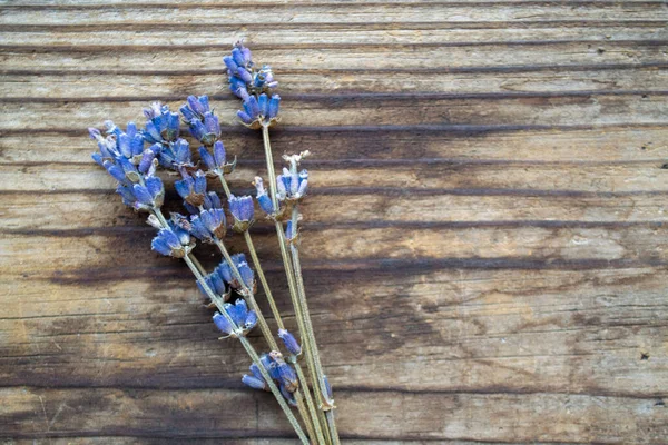 Bir demet kurutulmuş lavanta çiçeği.