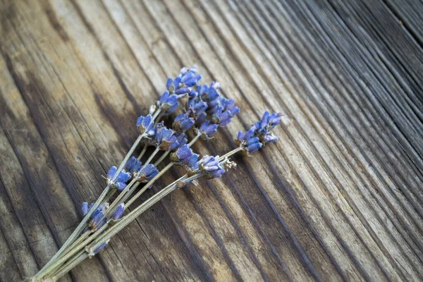 Bir demet kurutulmuş lavanta çiçeği.