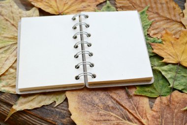 Boş bir defter sonbahar yaprakları ile kaplı