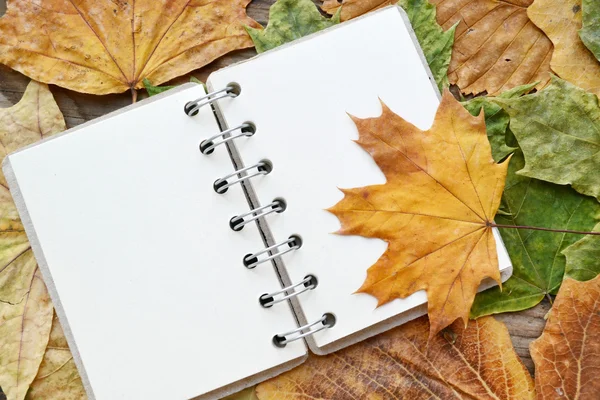 Пустой блокнот, покрытый осенними листьями — стоковое фото
