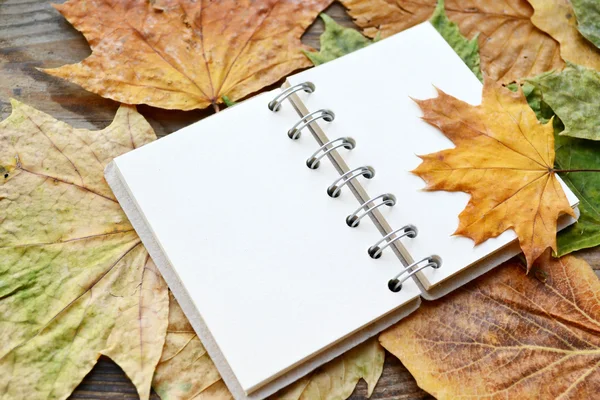 An empty notebook covered with autumn leaves — Stock Photo, Image