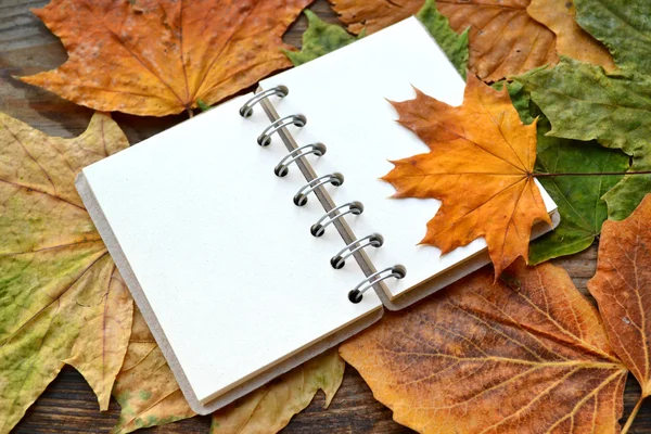 An empty notebook covered with autumn leaves — Stock Photo, Image