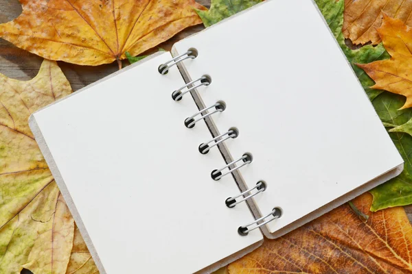 Un cuaderno vacío cubierto de hojas de otoño — Foto de Stock