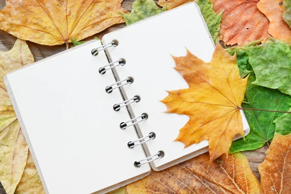 Пустой блокнот, покрытый осенними листьями — стоковое фото