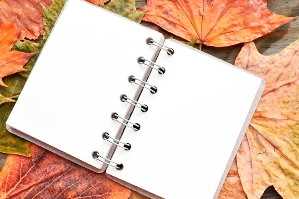 Un cuaderno vacío cubierto de hojas de otoño — Foto de Stock