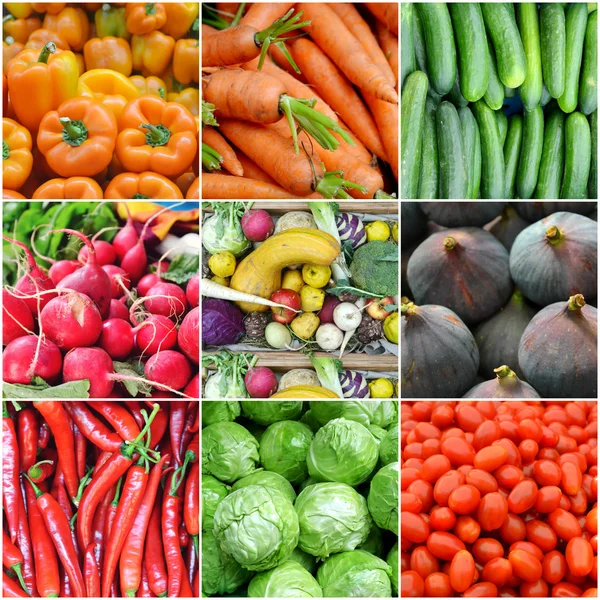 Collage de verduras orgánicas saludables - pimientos, tomates, pepinos y zanahorias — Foto de Stock