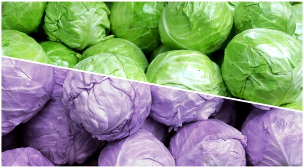 Collage van groen en violet gezonde organische en verse groente uit de boerderij markt — Stockfoto