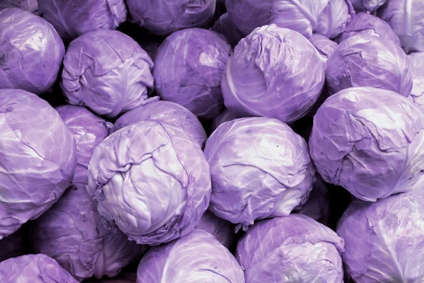 Terveet luomukaalit ja tuoreet violetit kaalit maatilan markkinoilta — kuvapankkivalokuva