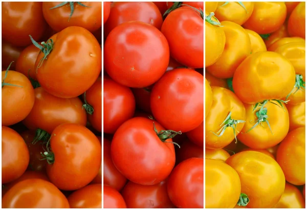Taze ve tatlı kırmızı, sarı ve Turuncu domates çiftlik piyasadan farklı kolaj — Stok fotoğraf