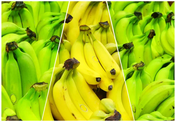 Collage of lots of organic yellow and green bananas at the market — Stock Photo, Image