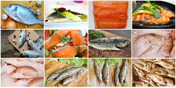 Collage de différents types de poissons frais cuits et crus — Photo