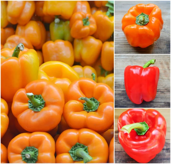 Kollázs a friss és édes narancssárga, zöld és piros paprika a mezőgazdasági piac — Stock Fotó
