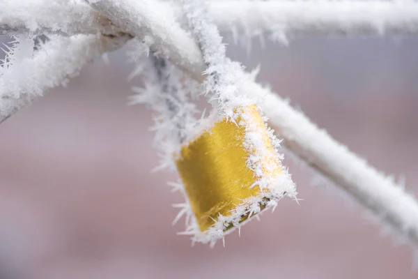 Kış Fırtınası Sırasında Donmuş Sarı Asma Kilit Stok Fotoğraf