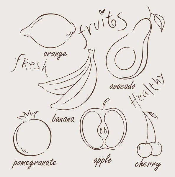 Ensemble d'icônes vectorielles de fruits. Illustration vectorielle  . — Image vectorielle