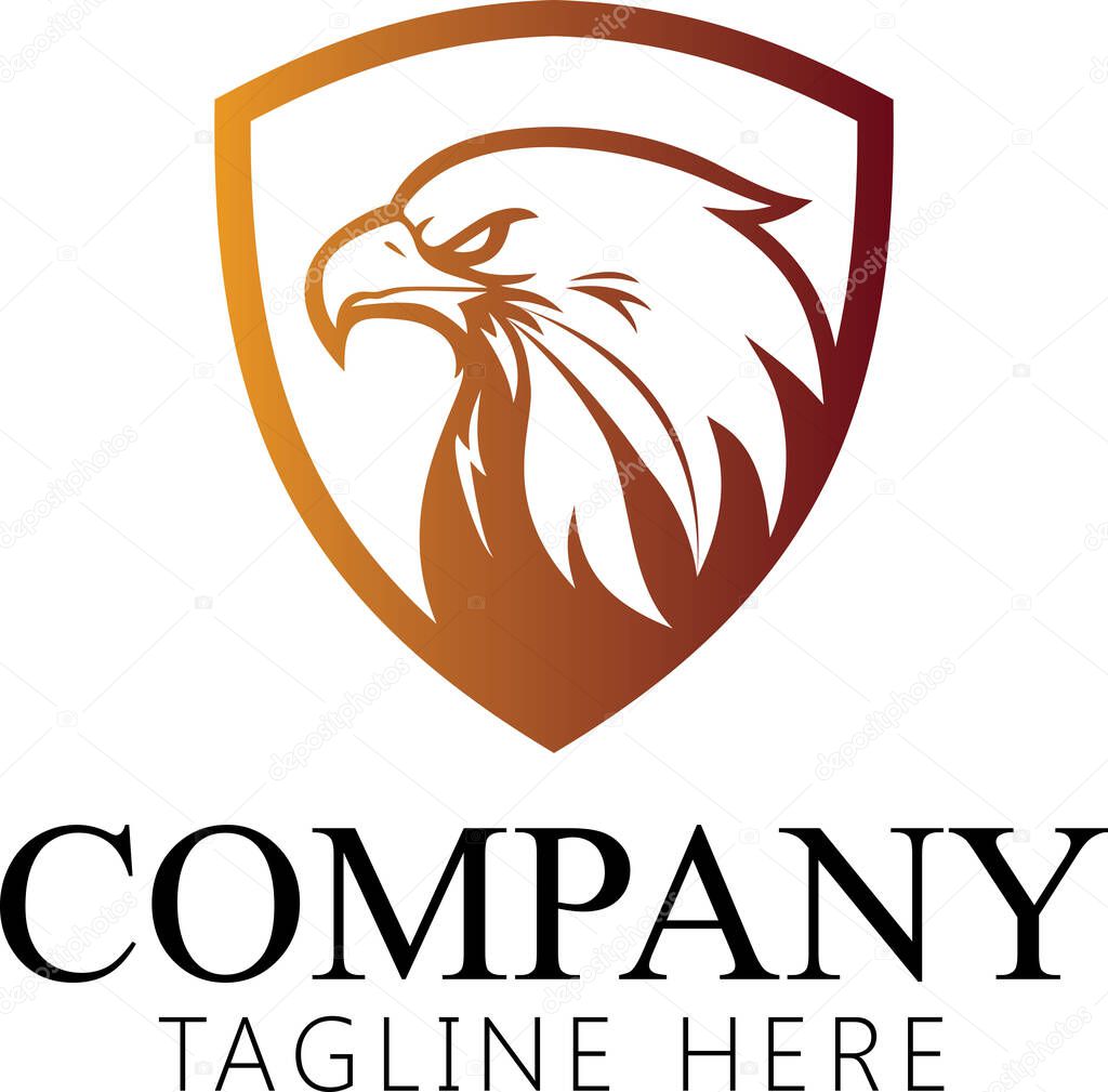 Hand drawn of Eagle head , Eagle mascot for t-shirt , Sport wear ,logo, emblem graphic, athletic apparel stamp.