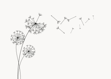 Dandelion with flying  seeds. Vector isolated decoration element from scattered silhouettes clipart